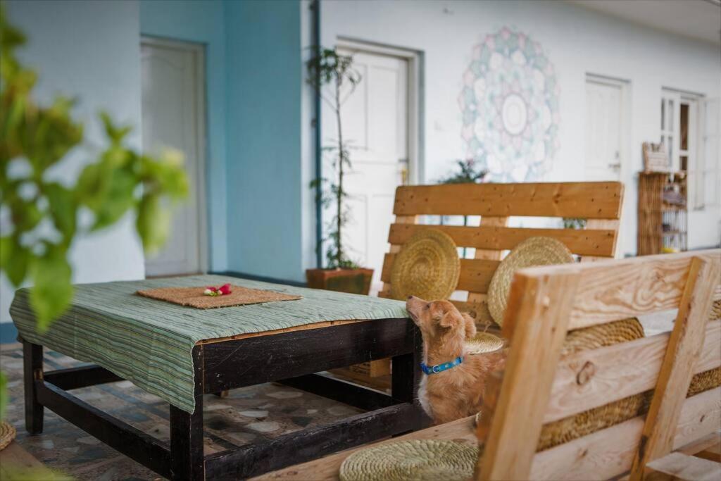 Ananda Tree House Eco Homestay Kathmandu Exterior photo